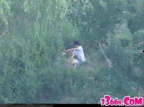 国产树林野战在线播放,热血激战，在线热血沸腾