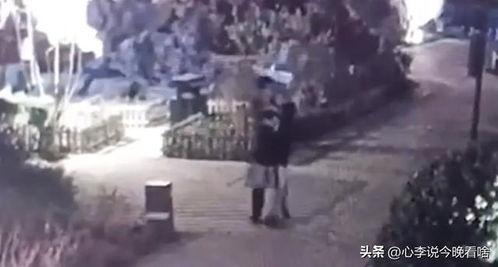 高射炮娱乐吃瓜视频,揭秘娱乐圈幕后故事